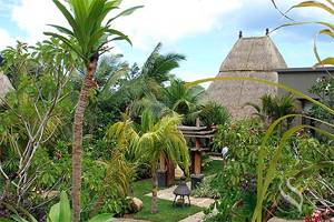 ���������� �������� ����� MAIA